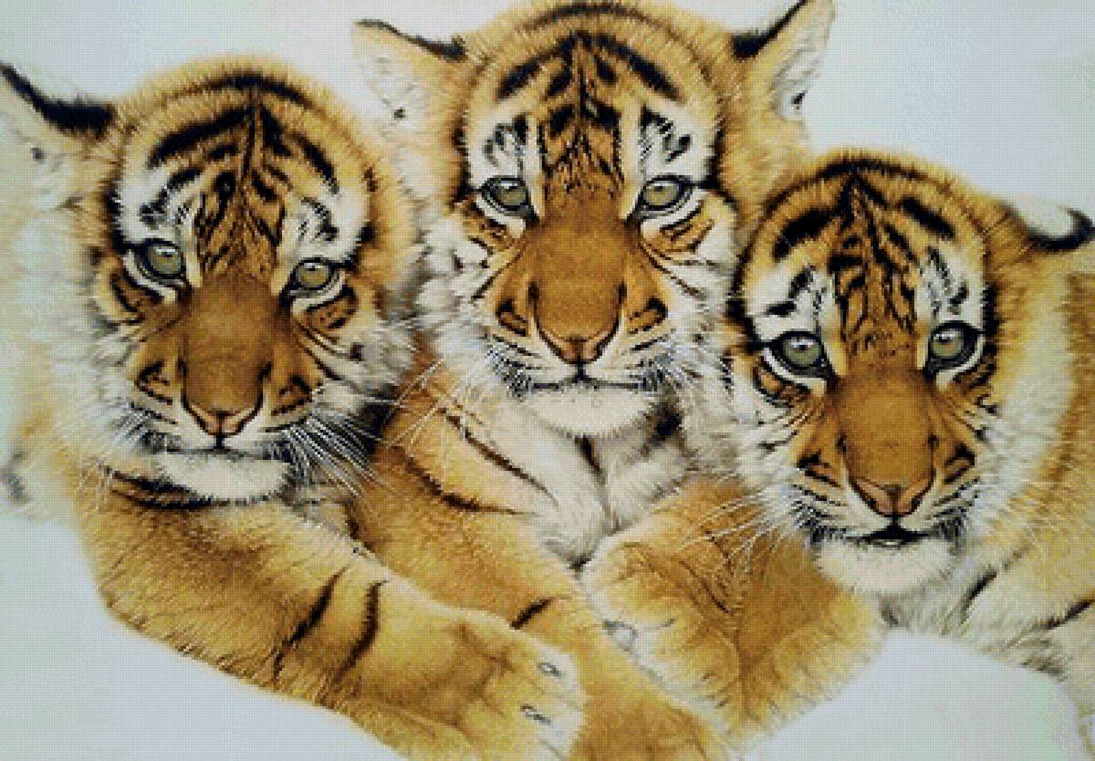Серия "Хищники". Тигрята - животные, тигрята, хищники - предпросмотр