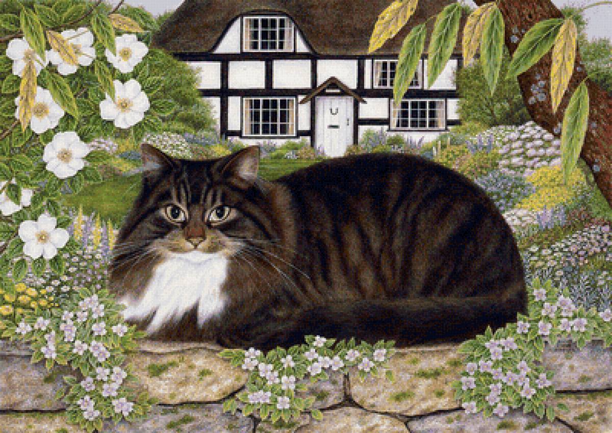 Котик - дом, кот - предпросмотр