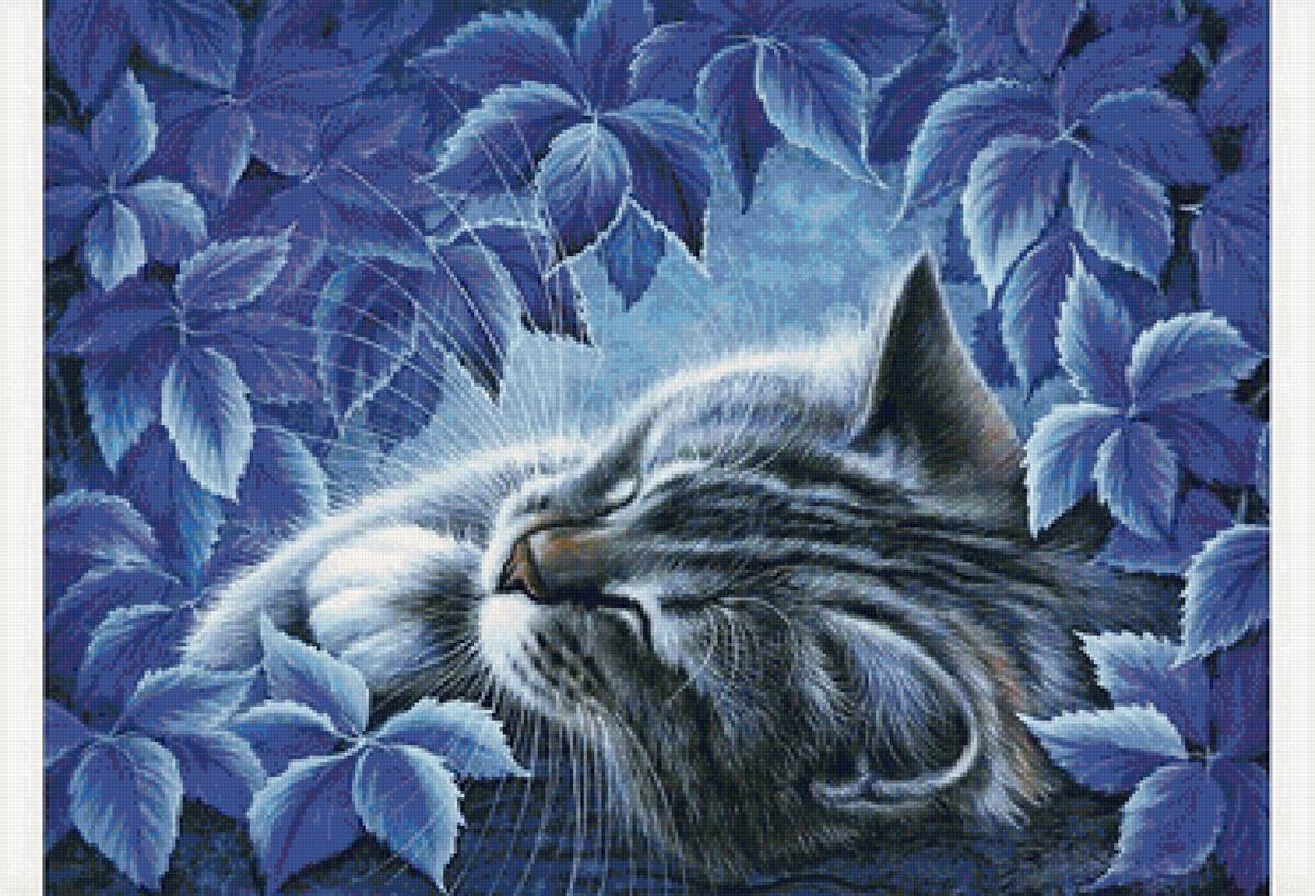 Синий сон - кошки, кот, животные - предпросмотр