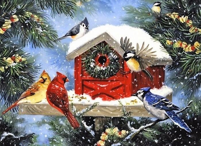 Birdhouse 4 - оригинал