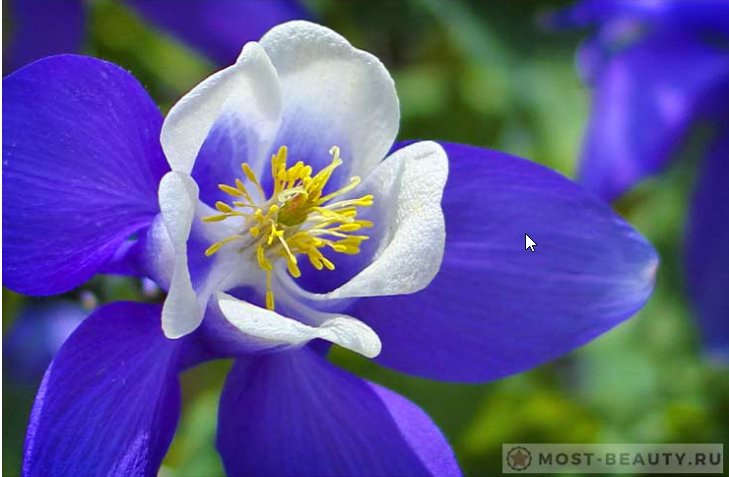 №1752819 - оригинал