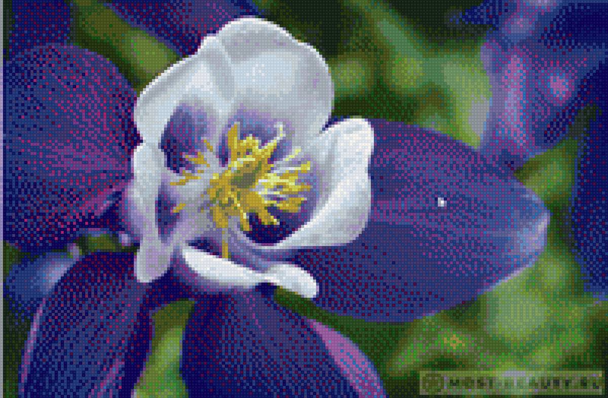 №1752819 - предпросмотр