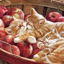 Схема вышивки «котята»