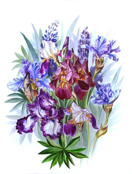 kytica - оригинал