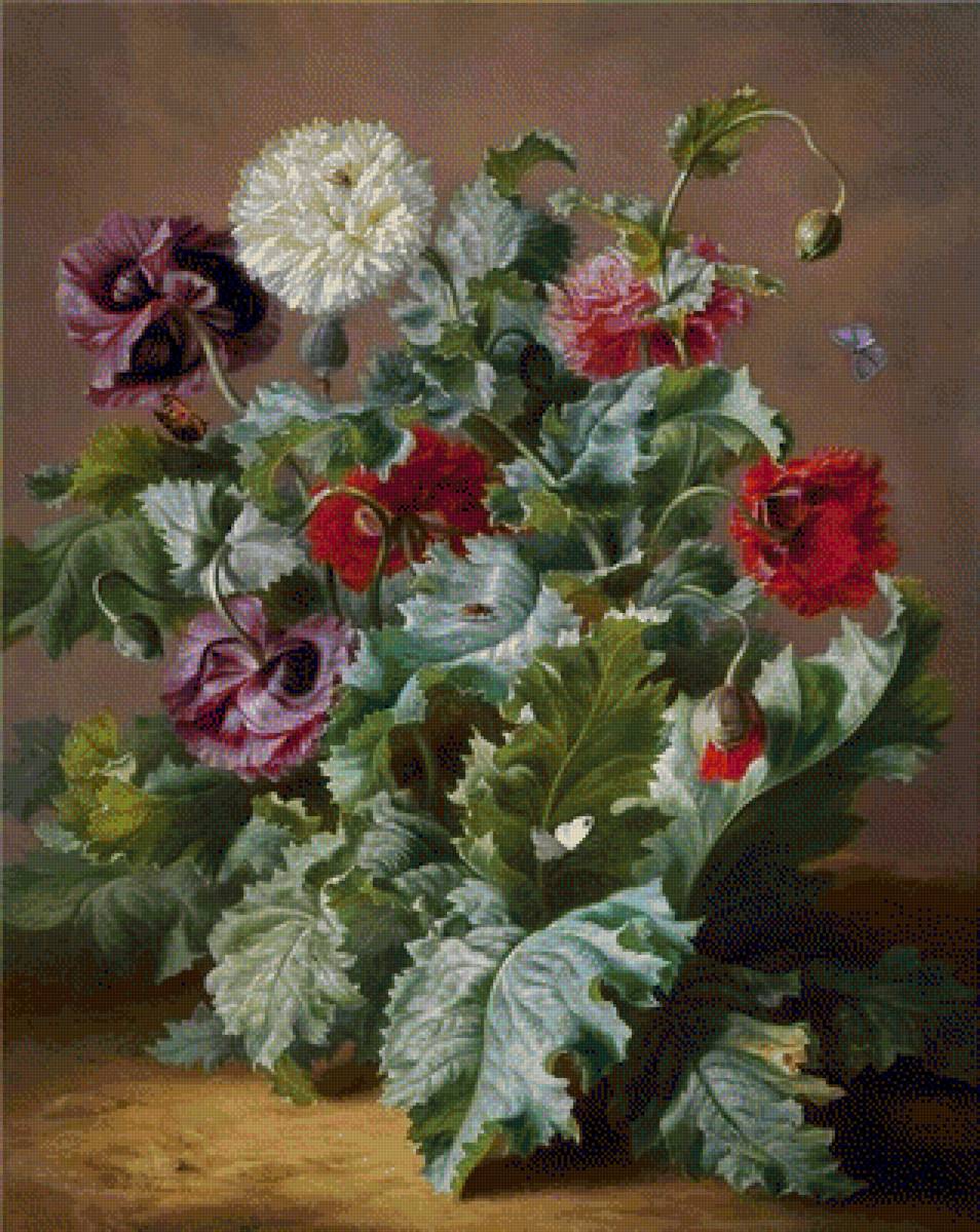 МАКИ - маки - предпросмотр