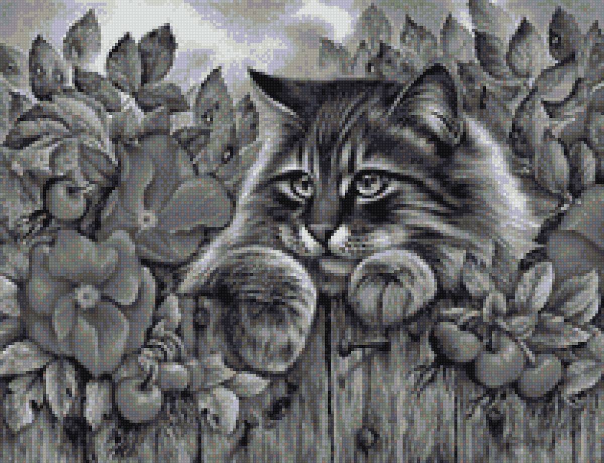 кот на заборе - предпросмотр