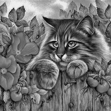 Схема вышивки «кот на заборе»