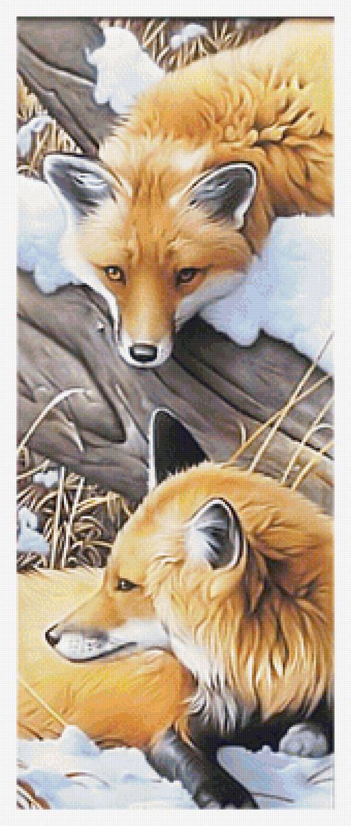 Серия "Лисы". Уменьшенный вариант - хищники, лиса, животные - предпросмотр