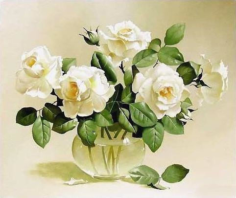 белые розы - природа, цветы - оригинал