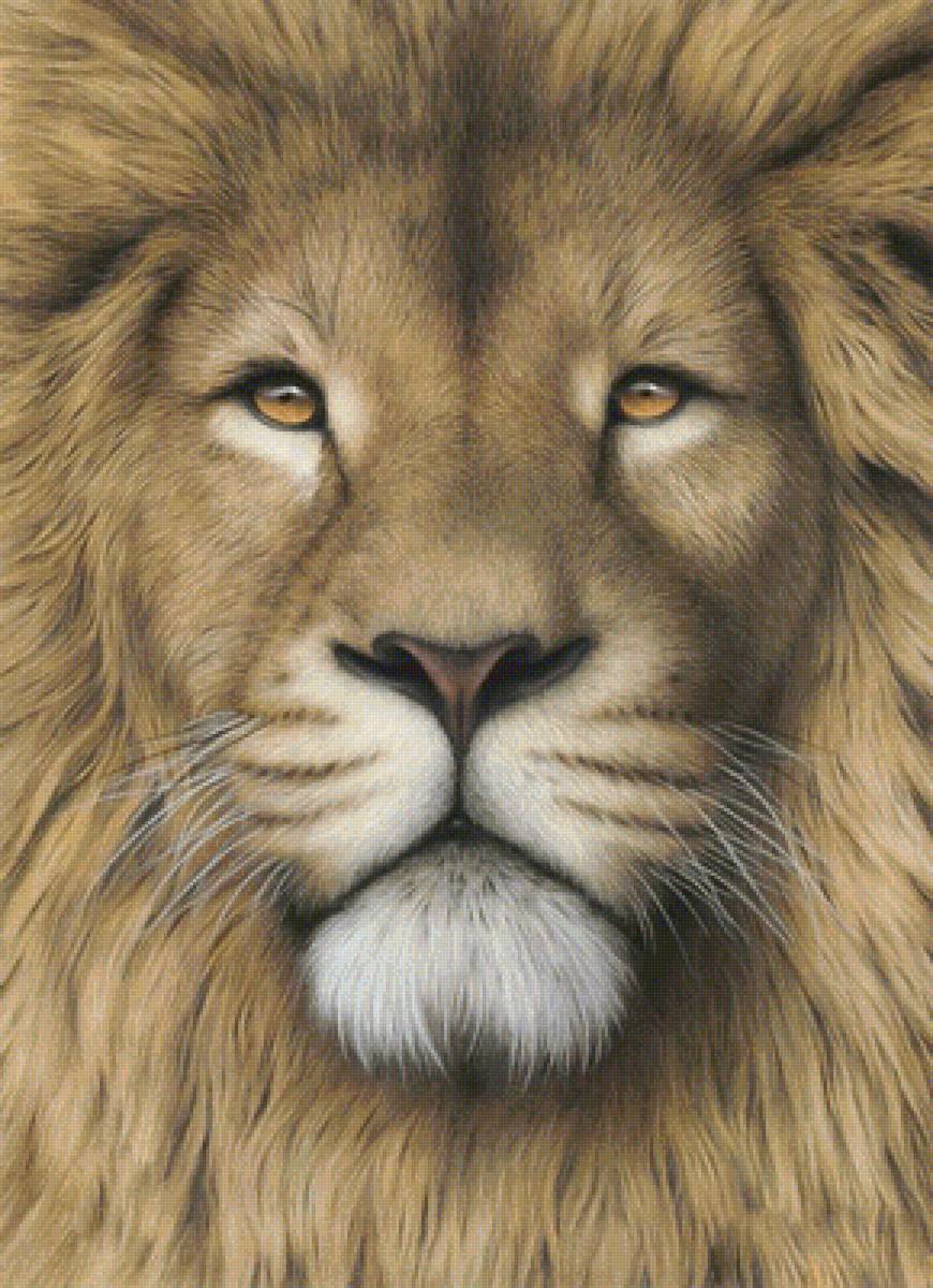 Лев - звери, животные - предпросмотр