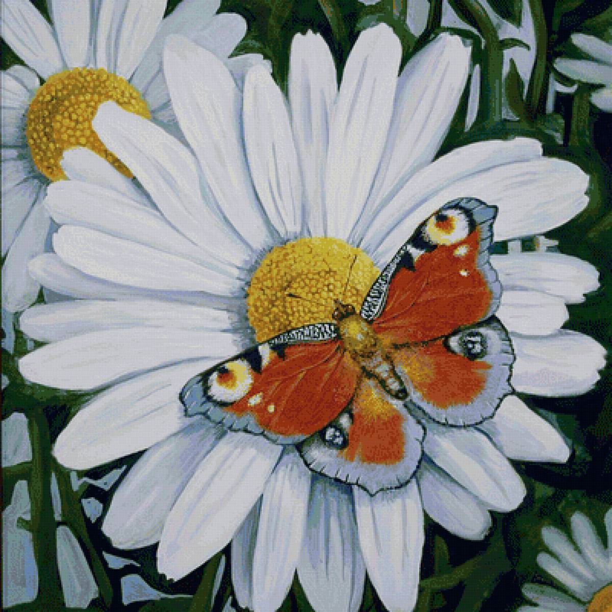 Бабочка и ромашки - бабочка цветы вышивка - предпросмотр