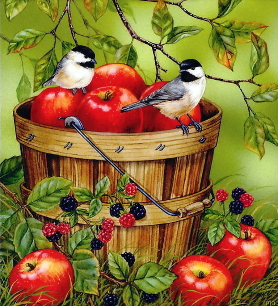 яблоки и птички - пейзаж, картина, природа - оригинал
