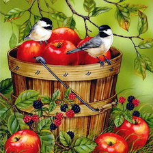 Оригинал схемы вышивки «яблоки и птички» (№1755463)