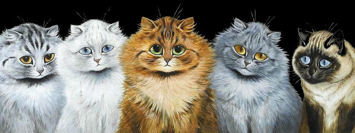 Котики - коты - оригинал