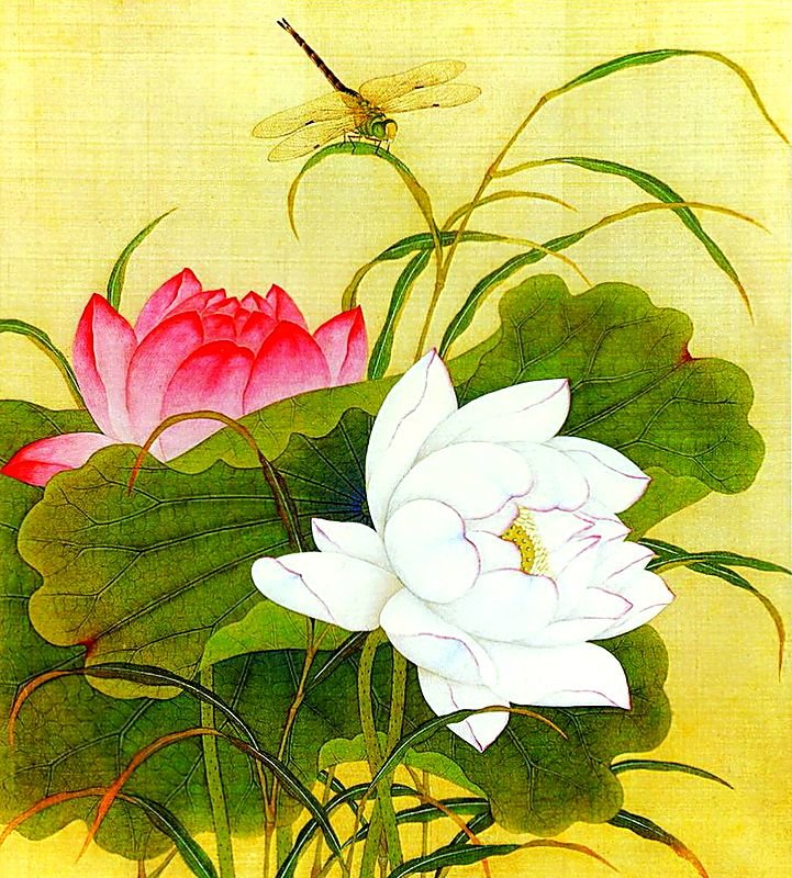 Лотосы. - лотосы. живопись. - оригинал