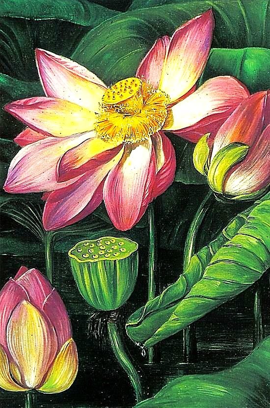 лотосы. - живопись., лотосы - оригинал