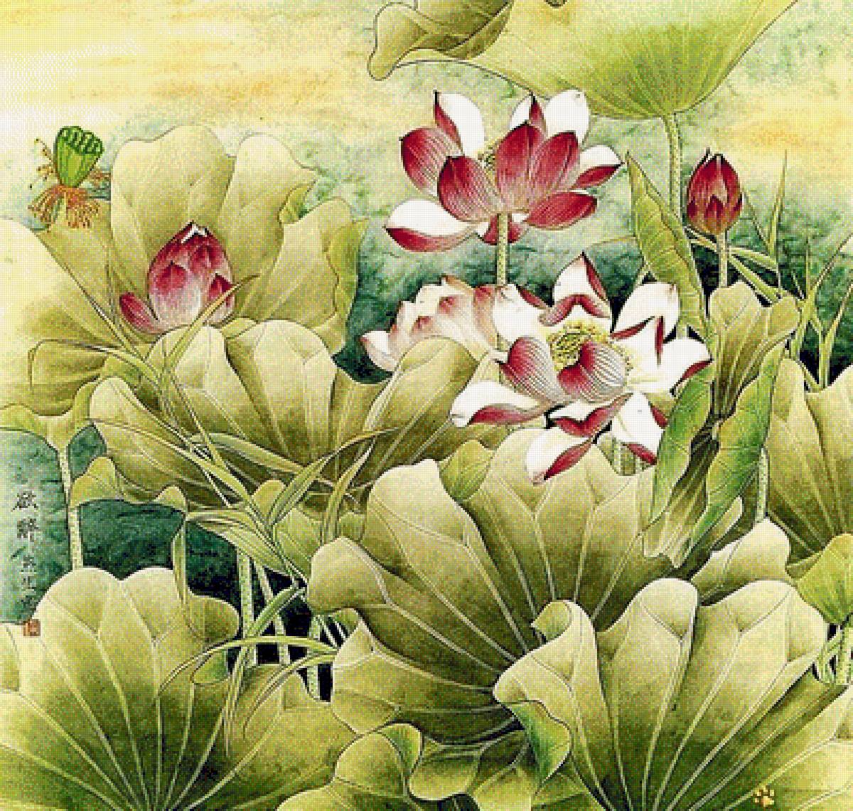 Лотосы. - лотосы, живопись. - предпросмотр