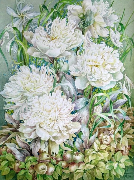 Белые пионы - цветы, пионы - оригинал