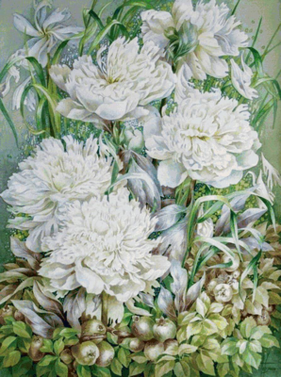 Белые пионы - пионы, цветы - предпросмотр