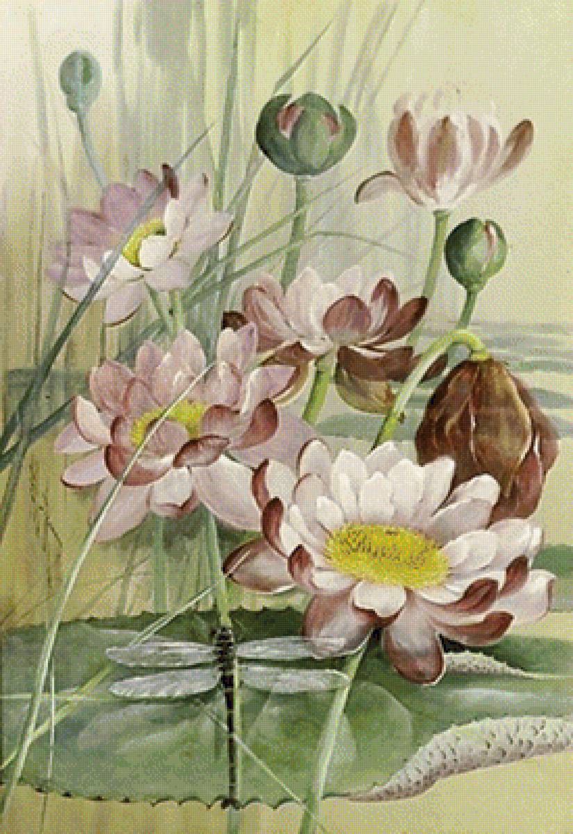 Лотосы, - стрекоза, живопись., лотосы - предпросмотр