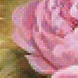 Предпросмотр схемы вышивки «Серия "Розы".» (№1757036)