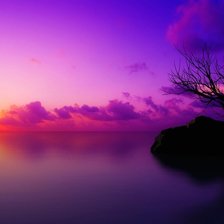 Схема вышивки «дерево»