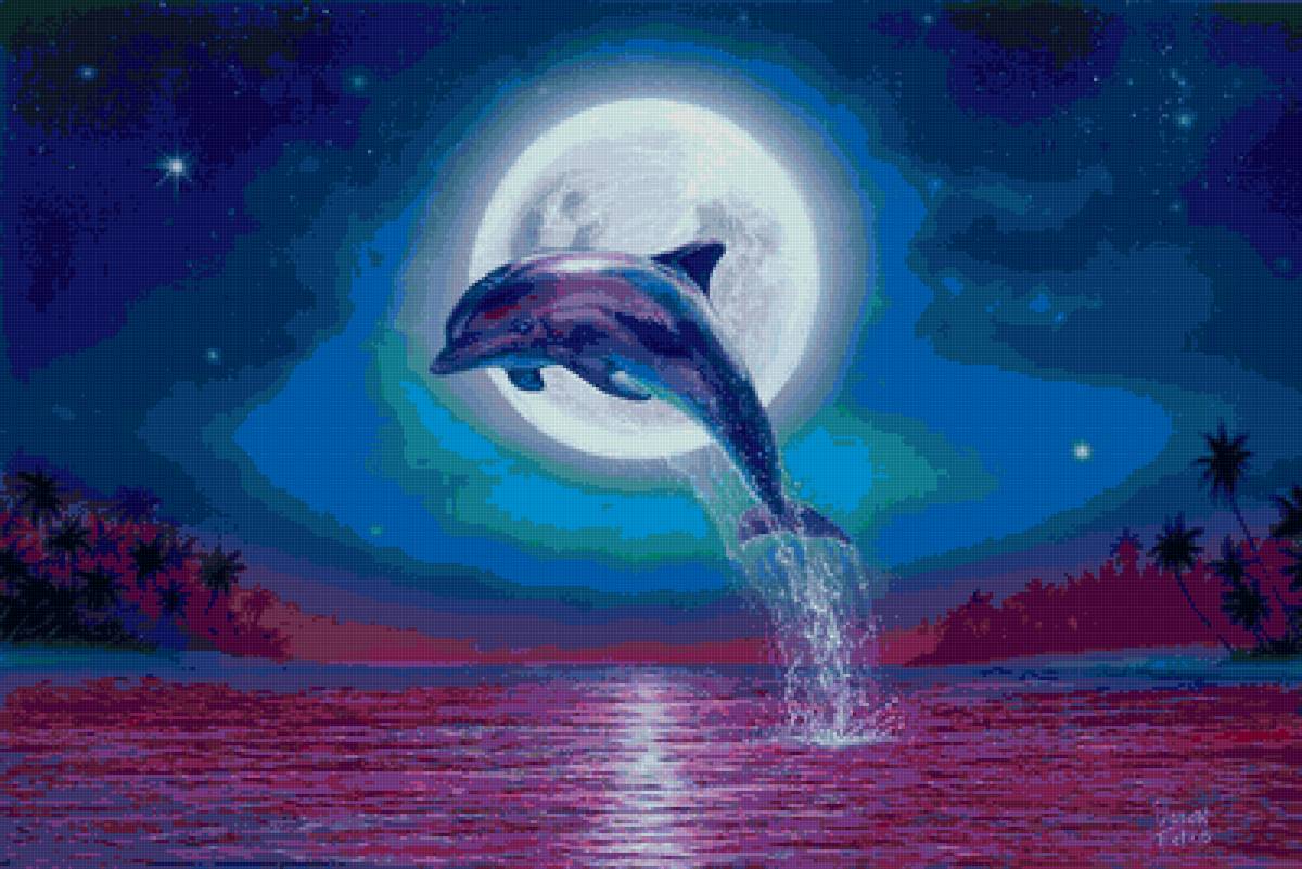 Дельфин - дельфин, животные - предпросмотр