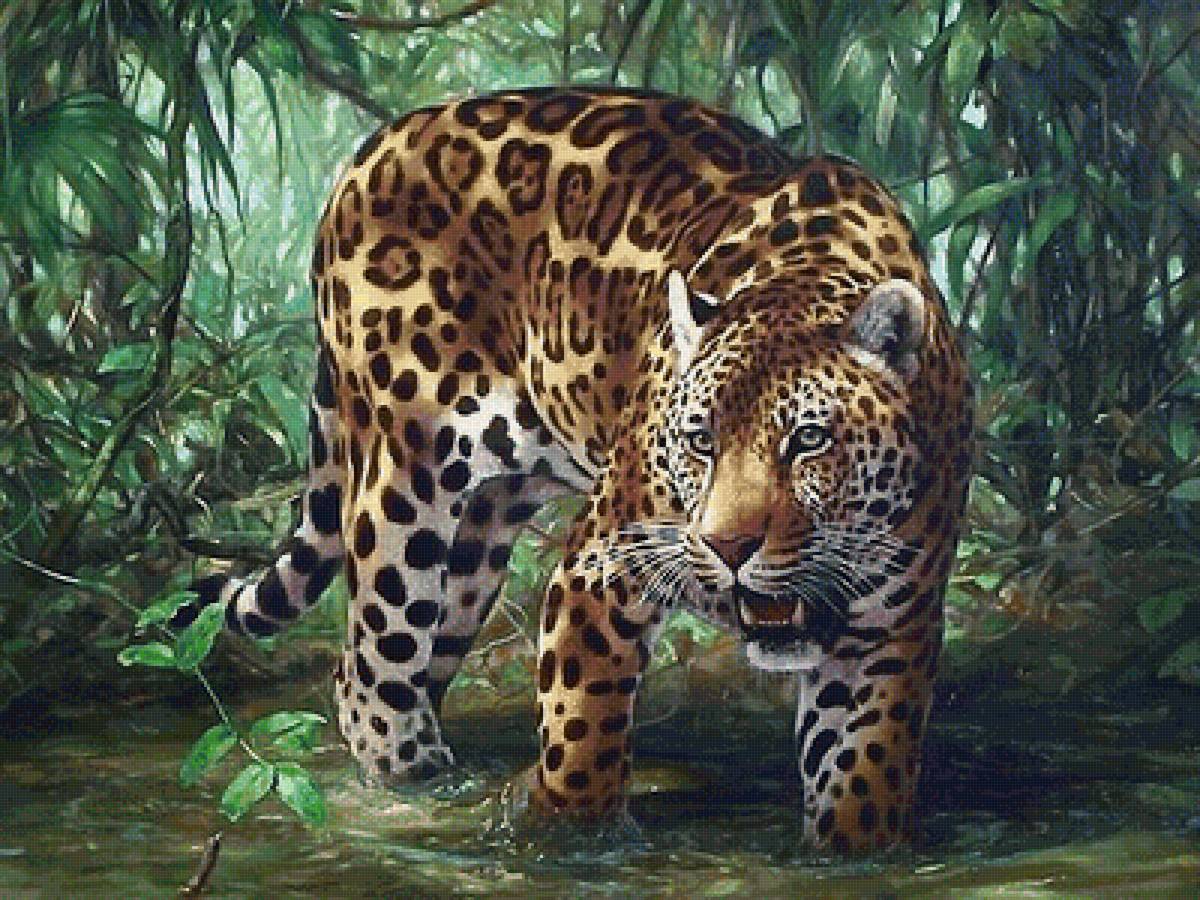 ягуар - мир животных - предпросмотр