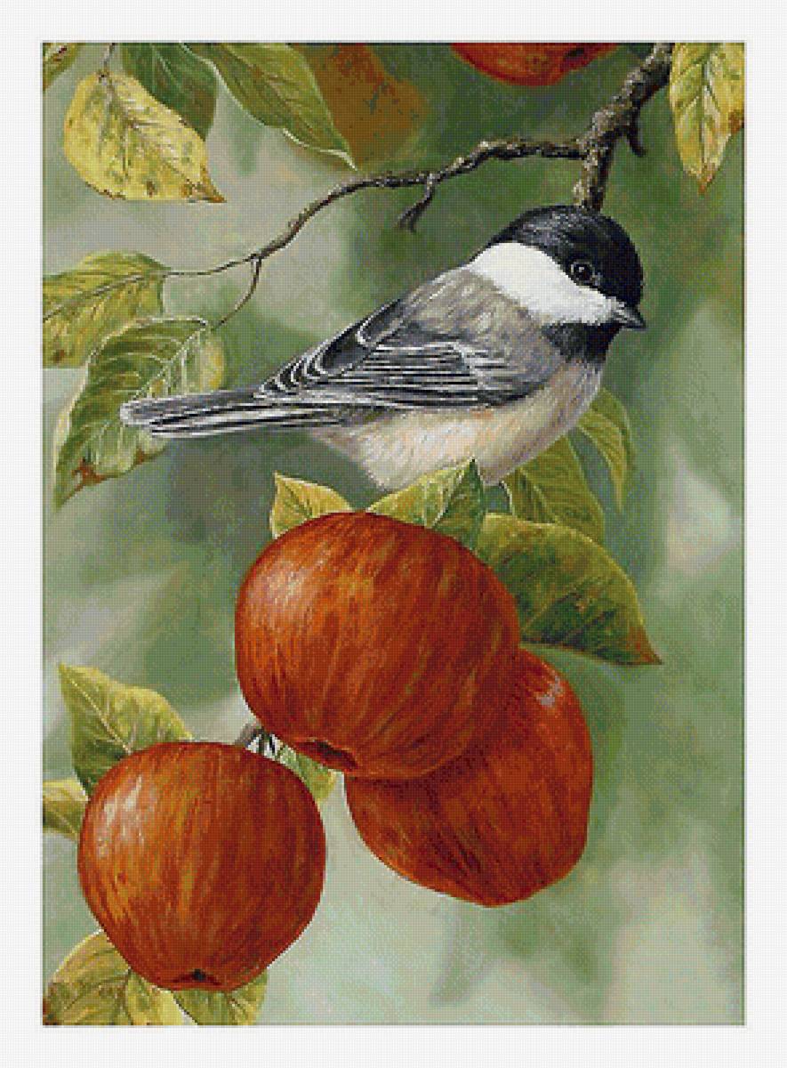 Серия "Птицы" - фауна, птицы - предпросмотр