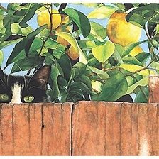 Схема вышивки «кот в лимонах»