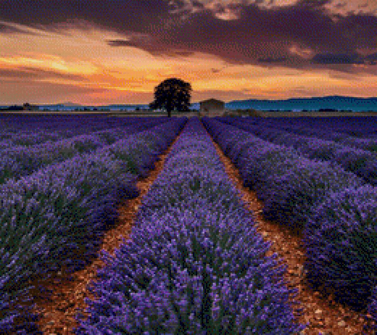 Природа - предпросмотр