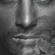 Схема вышивки «Лев»