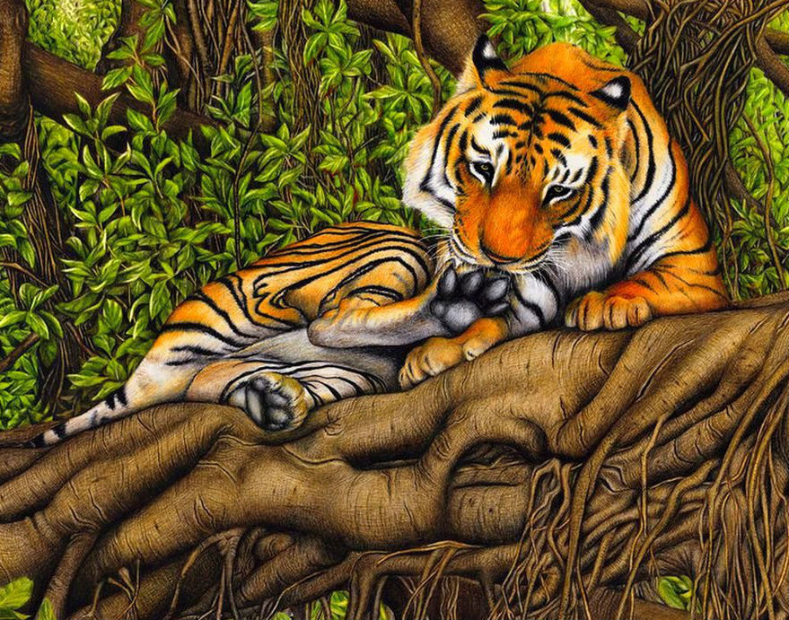 Тигр - на дереве, звери, животные - оригинал