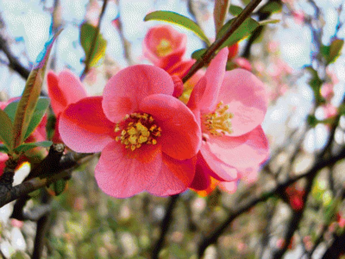 весна - предпросмотр