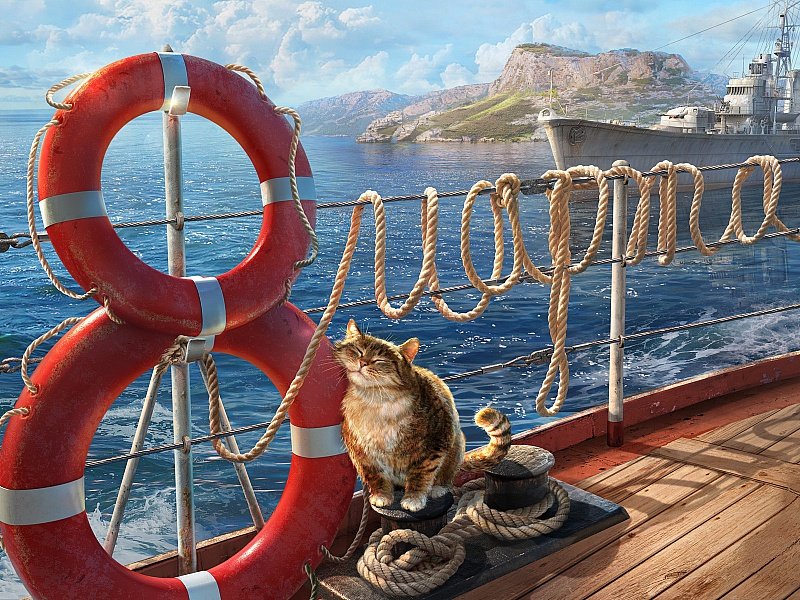 кот - кот - оригинал