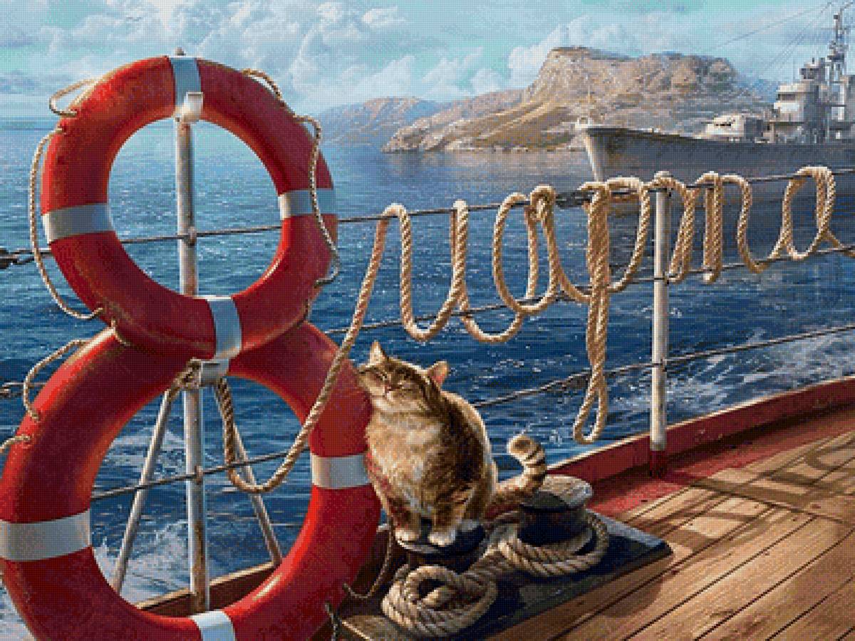 кот - кот - предпросмотр