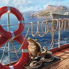 Схема вышивки «кот»