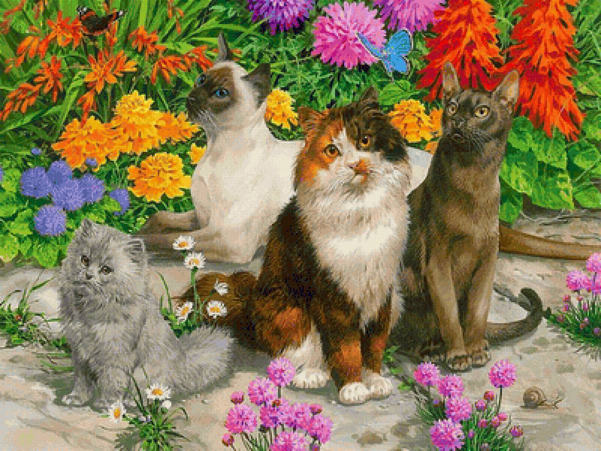 коты - коты - предпросмотр