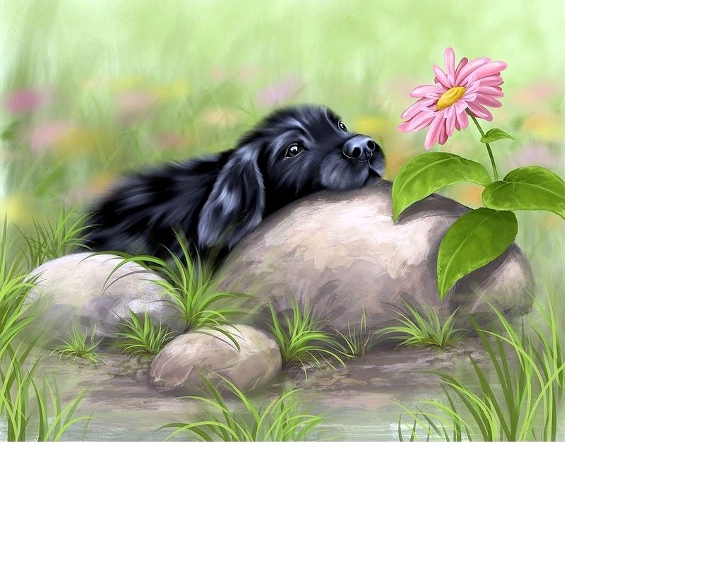 №1758985 - оригинал