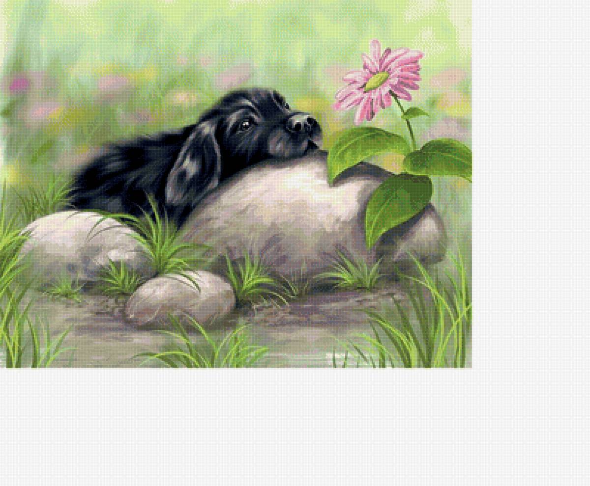 №1758985 - предпросмотр