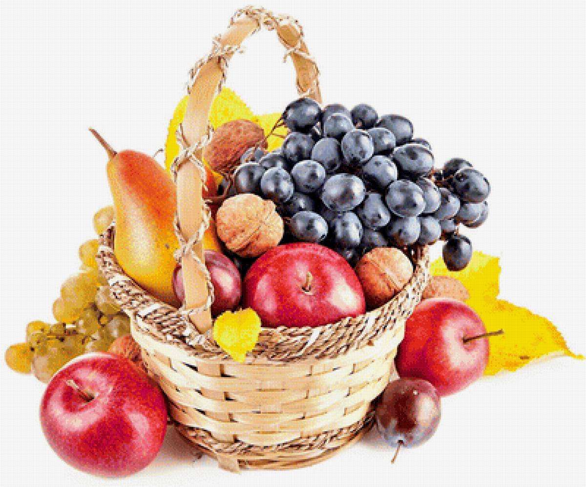 плоды и фрукты - фото, виноград, фрукты, красота - предпросмотр