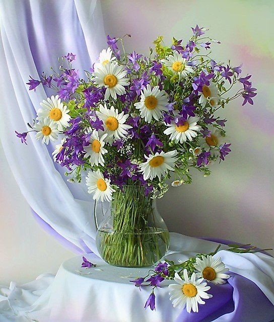 букет с полевыми цветами - цветы, букет, фото - оригинал