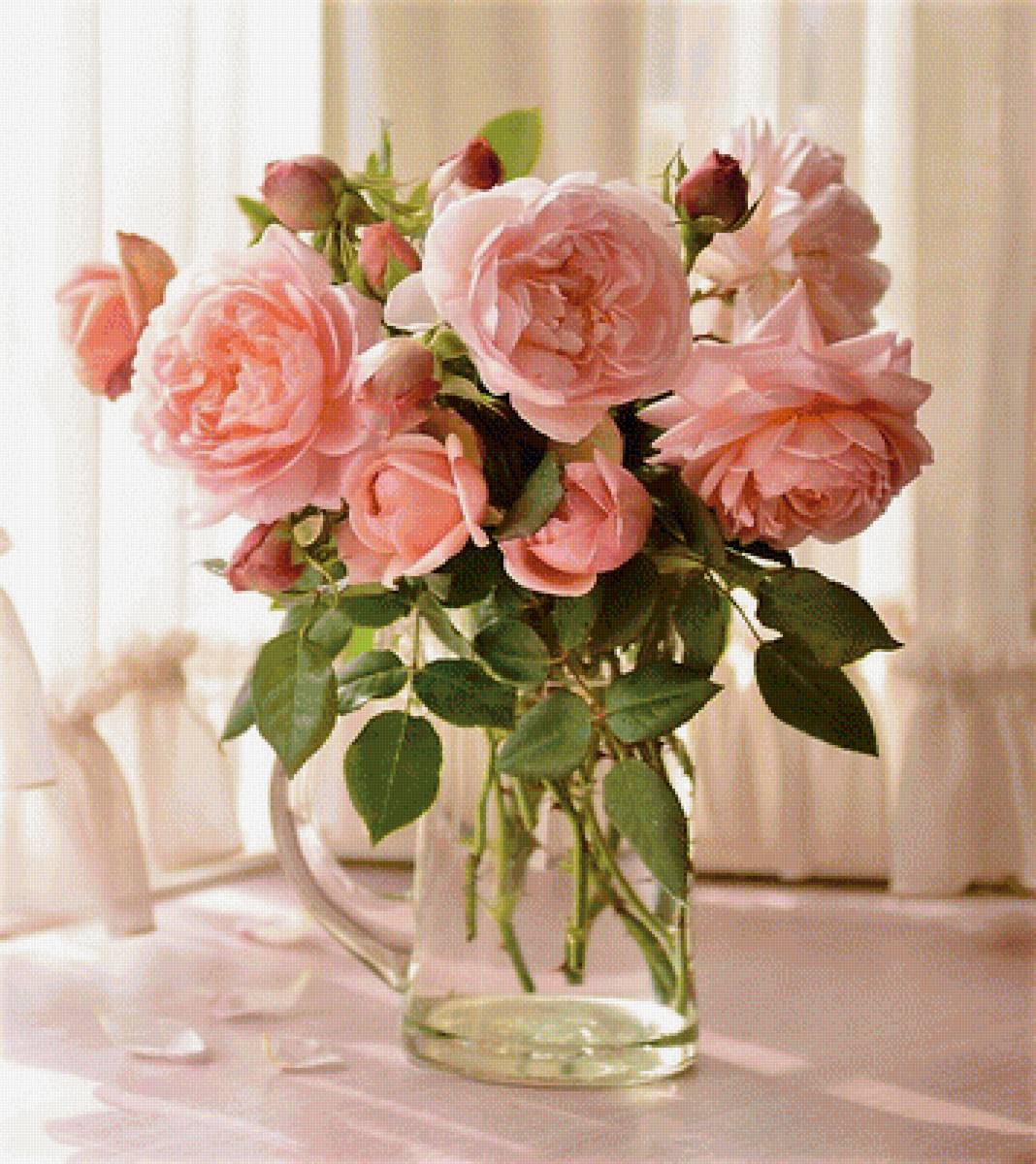 нежные розы - букет, цветы, фото - предпросмотр