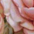 Предпросмотр схемы вышивки «Серия "Букет". Розы» (№1759766)