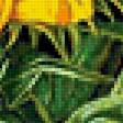 Предпросмотр схемы вышивки «Подсолнухи» (№1759828)