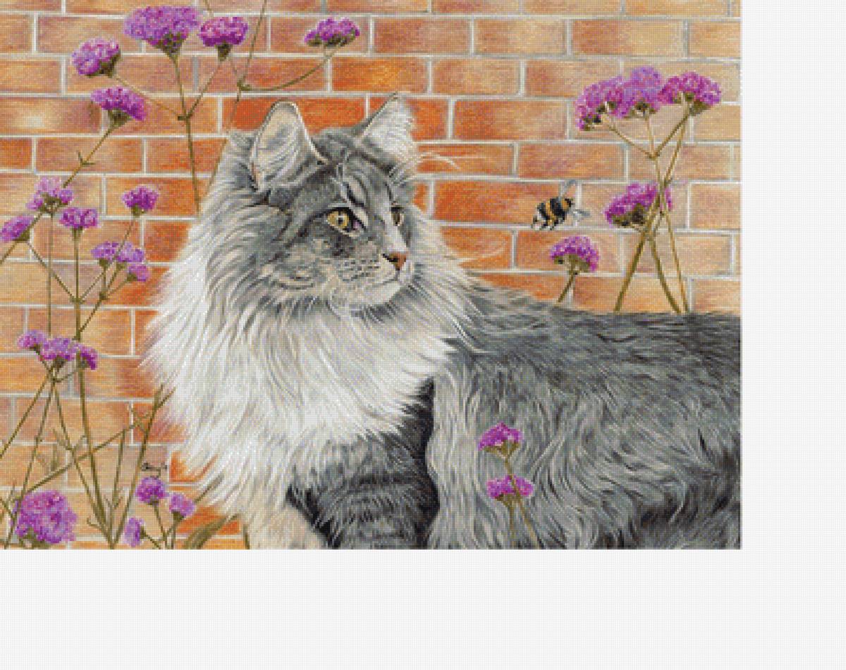 Кот и шмель - коты - предпросмотр