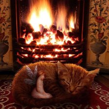 тепло и уютна
