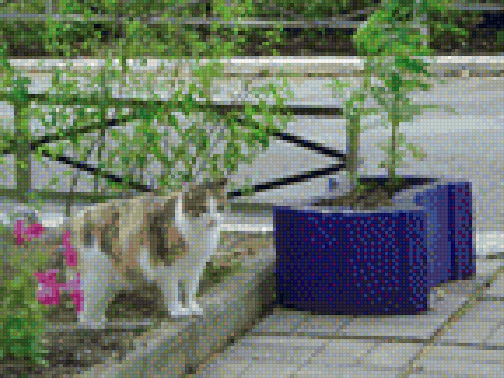 мюся - предпросмотр