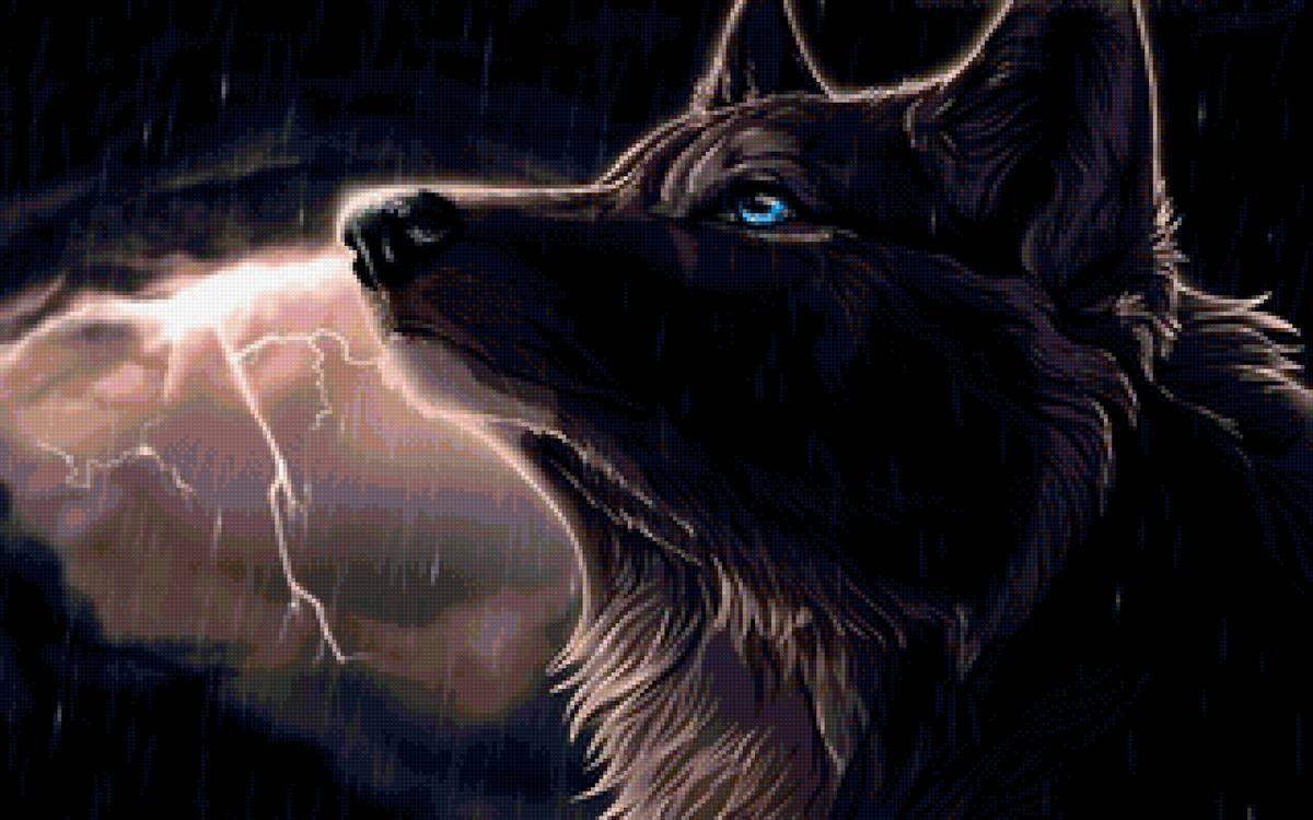 Волк и молния - дождь, волк, молния - предпросмотр