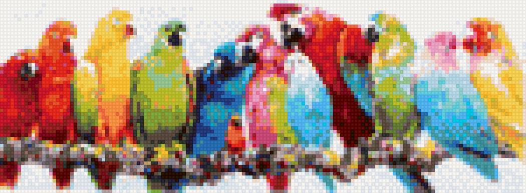 popugai - предпросмотр